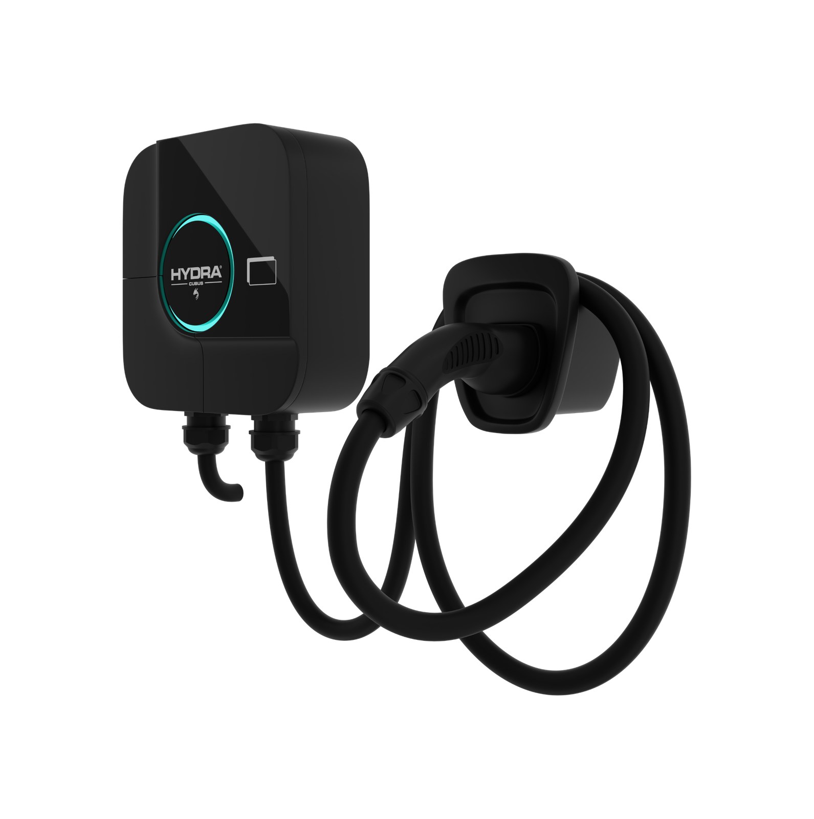 Hydra Cubus Tethered